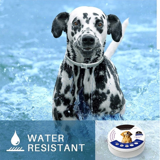 Waterproof Adjustable Insect Repellent Collar Flea Tick Removal