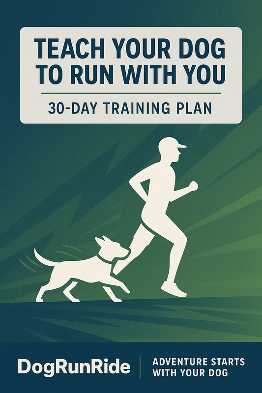 Teach Your Dog to Run With You: A Free 30‑Day Training Plan for Active Dogs & Their Humans