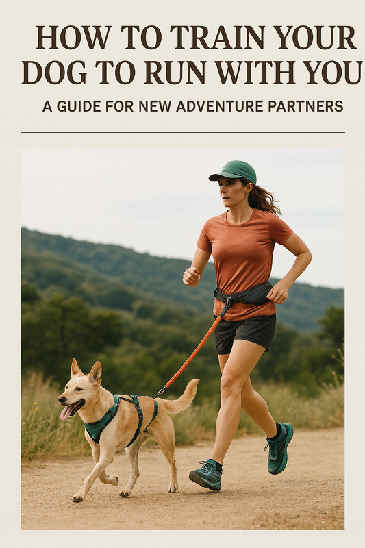 How to Train Your Dog to Run With You: A Guide for New Adventure Partners