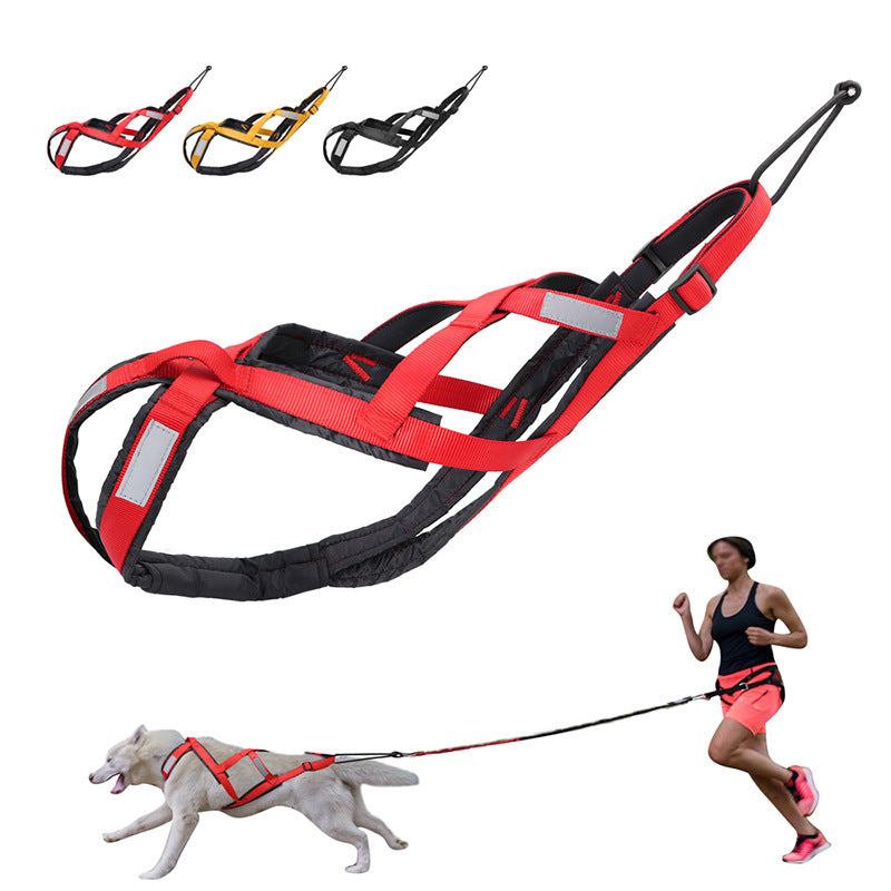 Heavy Duty Dog Harness