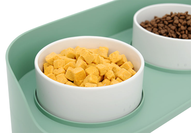 Ceramic Double Bowl Food Bowl