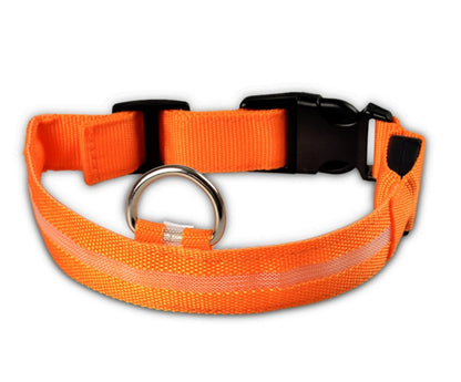 Nylon LED Pet Dog Luminous Collar Night Safety
