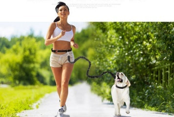 Dog running reflex traction rope