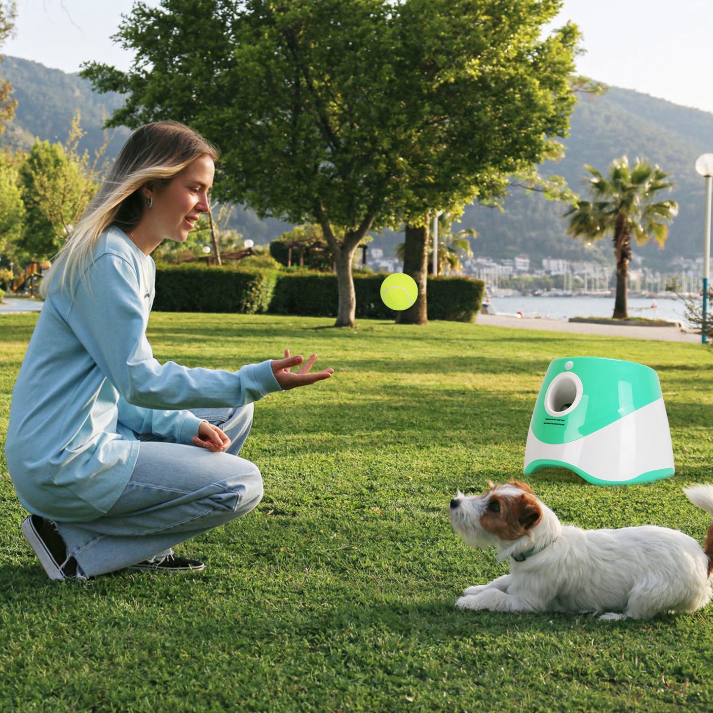 Automatic Dog Ball Launcher Included 6 Tennis Balls Dog With 3 Adjustable Launch Distance