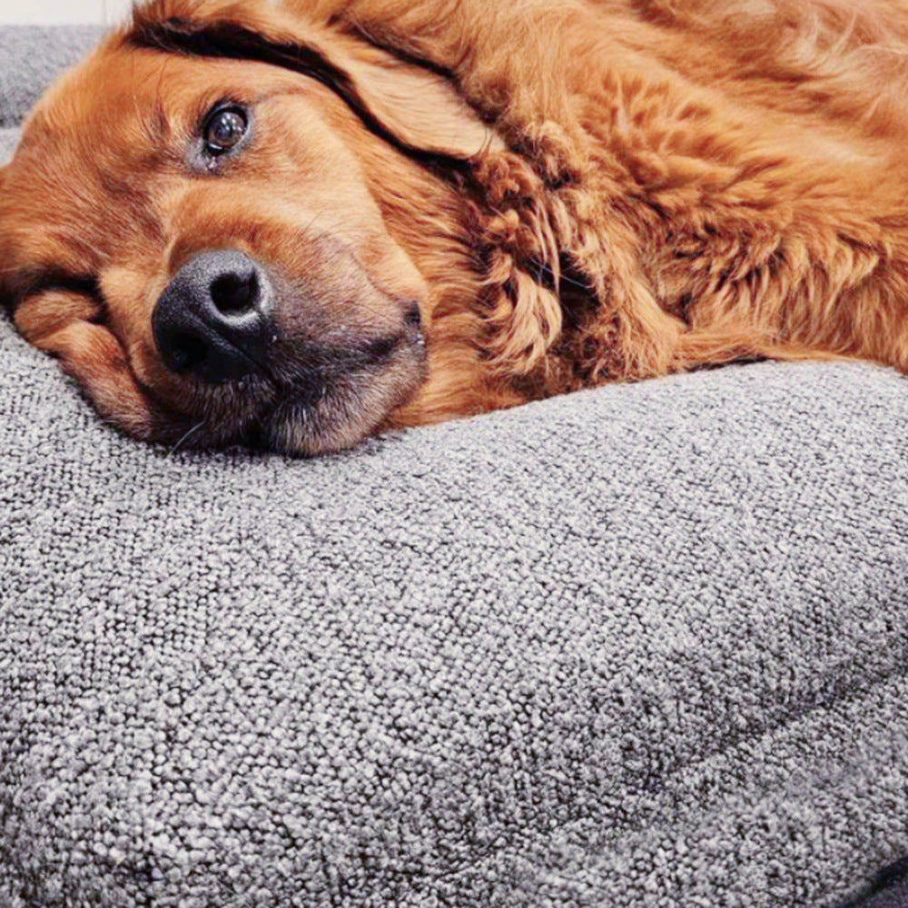 Rectangular Bed Sofa Nest Pet Kenels