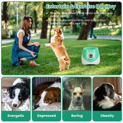 Automatic Dog Ball Launcher Included 6 Tennis Balls Dog With 3 Adjustable Launch Distance