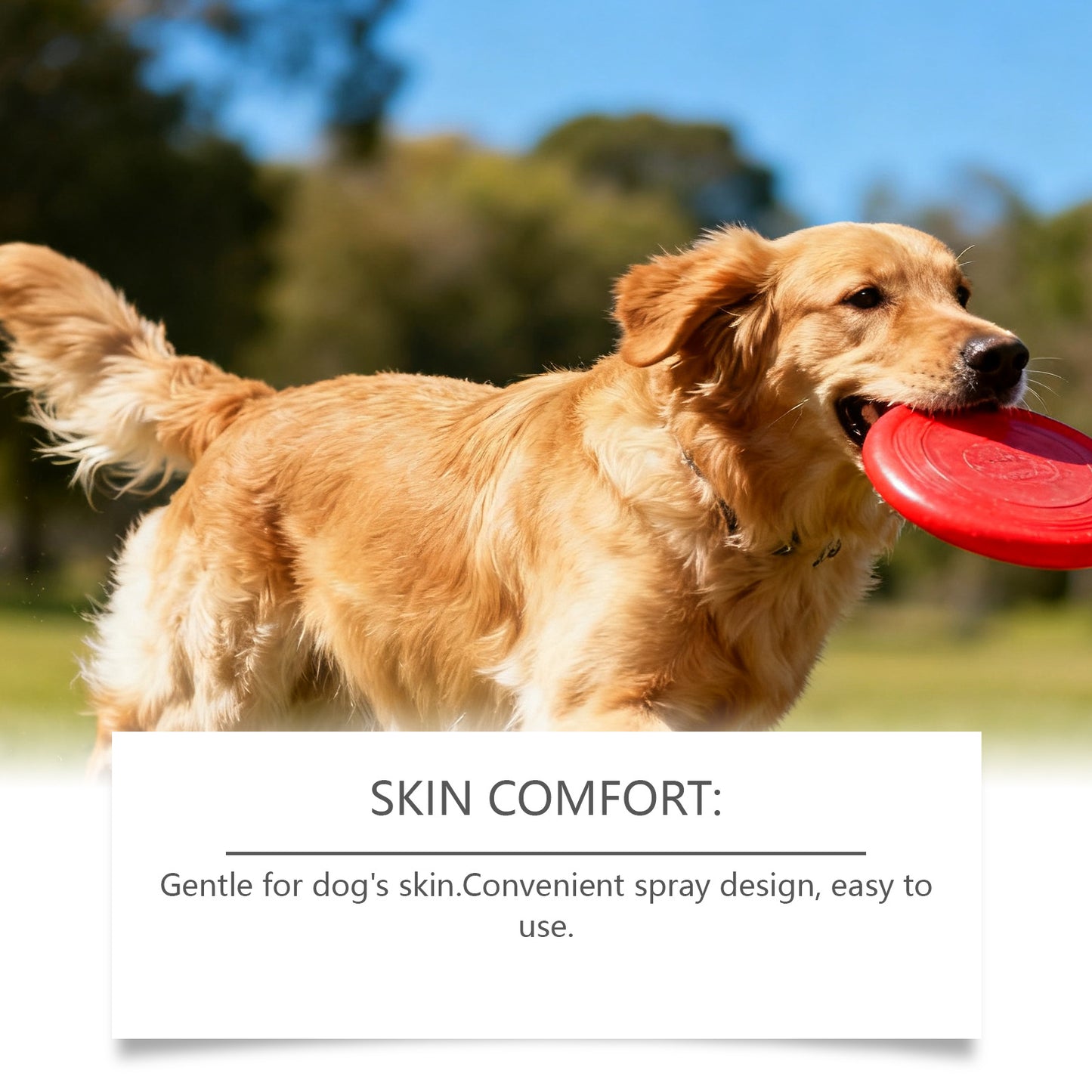 Dog Flea And Tick Prevention Spray