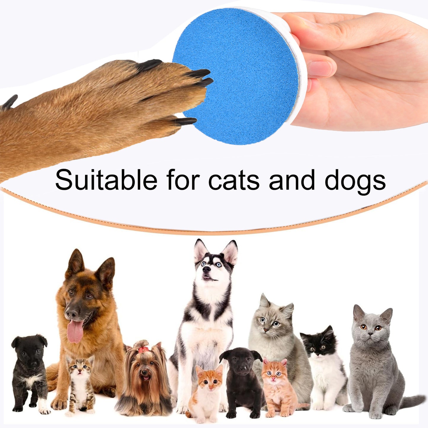 Pet Dog Scratching Board, Slow-feeding Board, Nail File Board, And Dog Toy