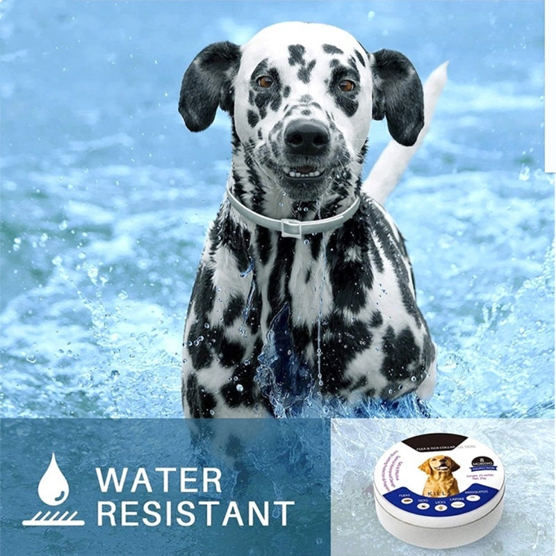 Waterproof Adjustable Insect Repellent Collar Flea Tick Removal