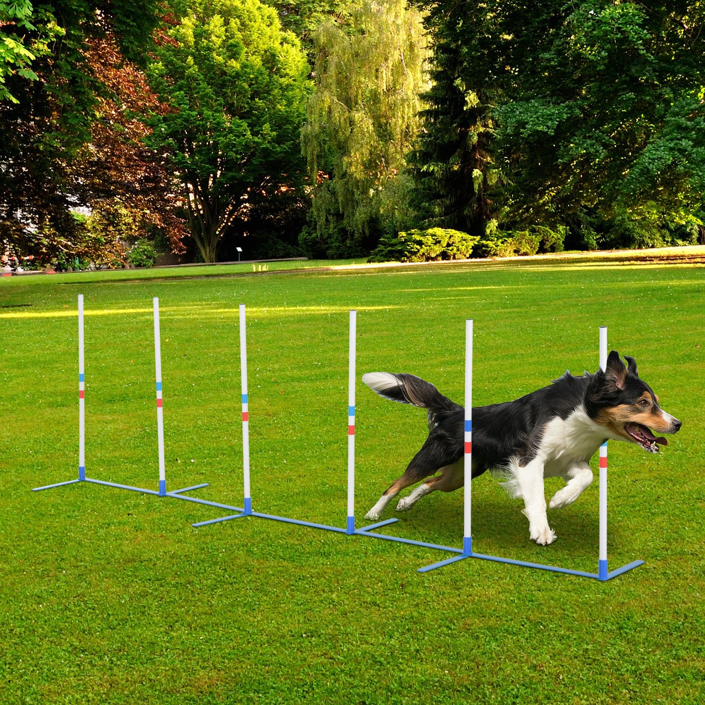 Dog Agility Equipment Dog Weave Pole Set Agility Starter Kit Pet Outdoor Exercise Training Set
