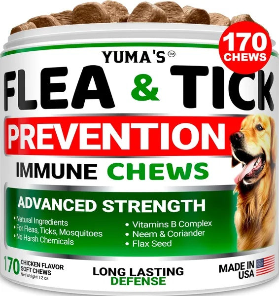 Flea And Tick Prevention For Dogs