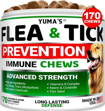 Flea And Tick Prevention For Dogs